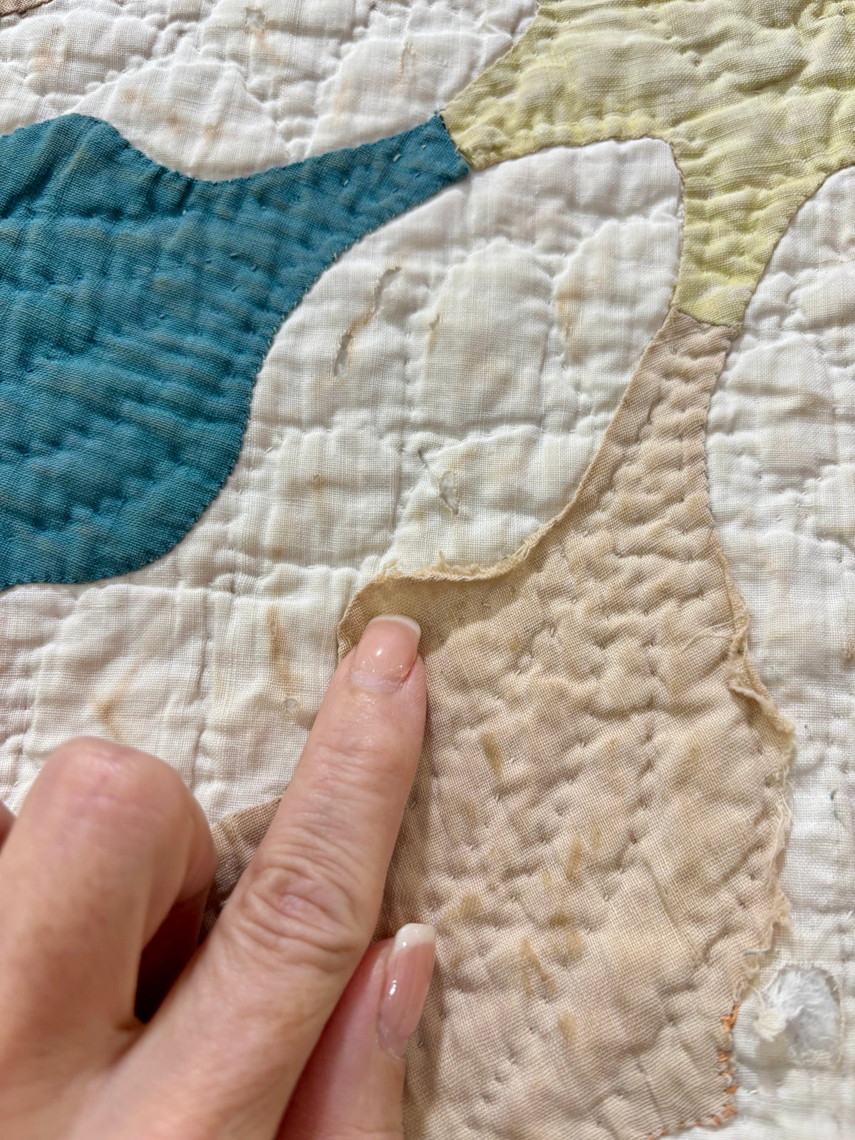 Antique Princess Feather Appliqué Quilt, c1900-1920