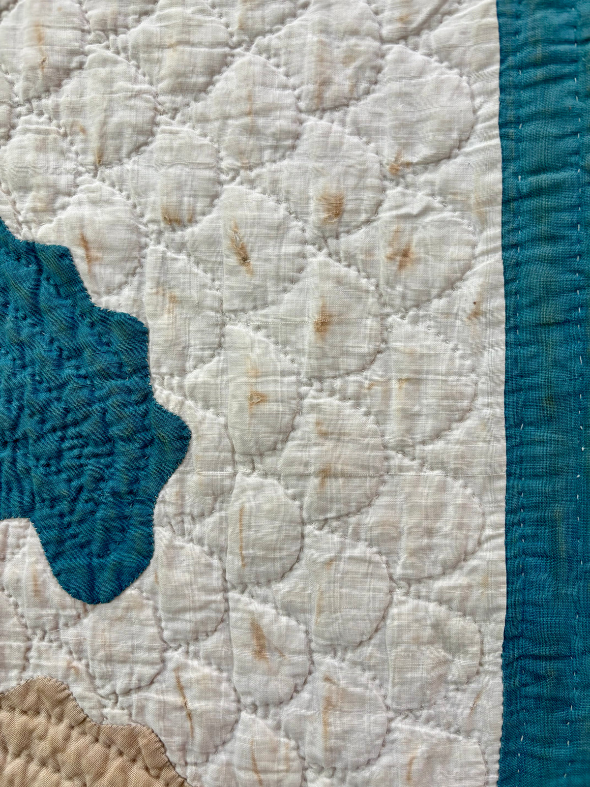 Antique Princess Feather Appliqué Quilt, c1900-1920